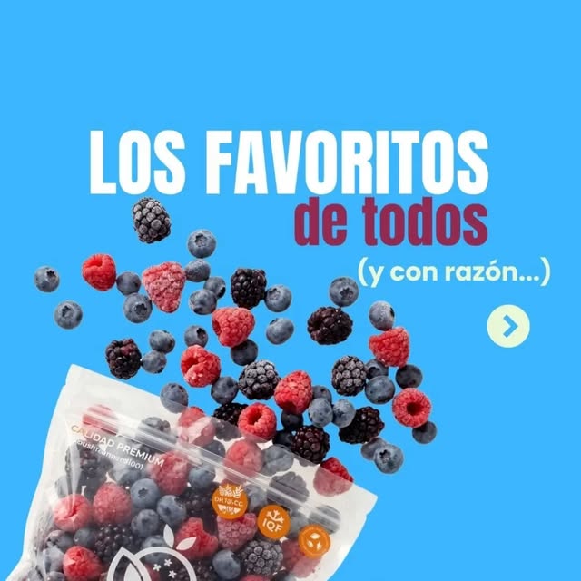 Ver frutos rojos congelados: arándanos, frambuesas y moras